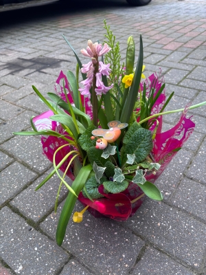 Planted bowl arrangement
