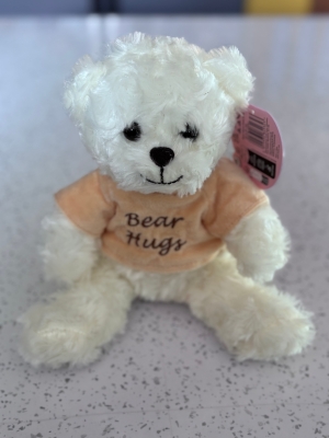 Bear hugs teddy bear