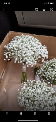 Gypsophila wedding hand tied