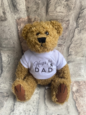 Hugs for dad bear