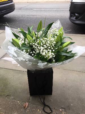 Lily handtied