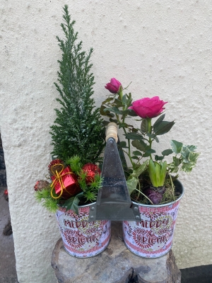 Planted tin arrangement