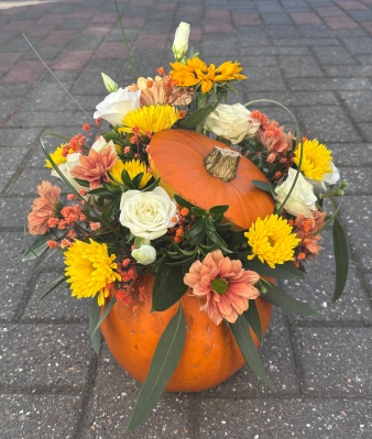 Pumpkin arrangement