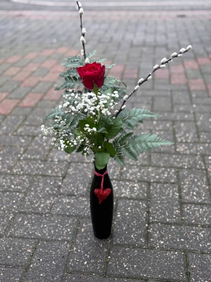 Single rose in vase