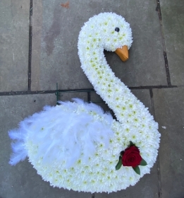 2d swan tribute