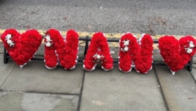Artificial Nan with hearts