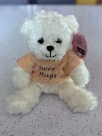 Bear hugs teddy bear