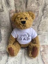 Hugs for dad bear