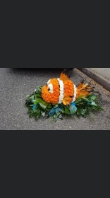 Nemo  tribute