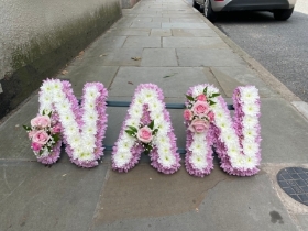 Pink Nan tribute
