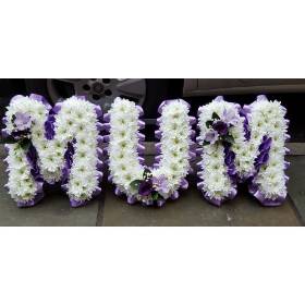 Purple Mum