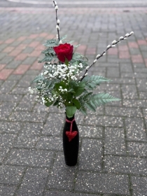 Single rose in vase
