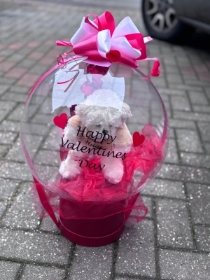 Teddy bear in balloon